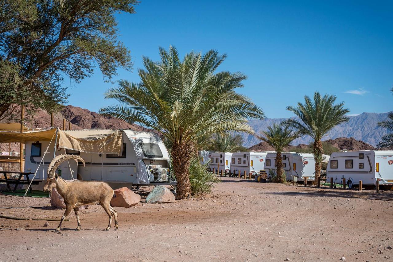 Park Timna Hotel เอลัต ภายนอก รูปภาพ